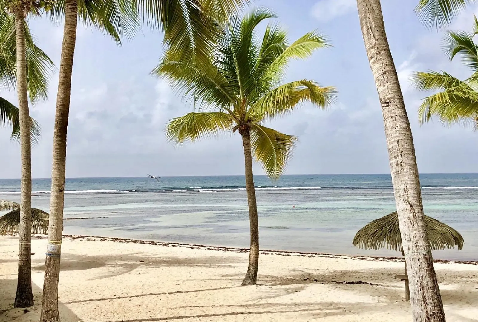 Guadeloupe- Saint-Francois- Residence Anse Des Rochers - Appartement Quart De Villa Etage - Vue Mer- 4 Personnes - Lit Bebe Sur Demande - Citerne Et Wifi Prives -Animaux Ok-Acces Plage Direct -Apnee Bien-Etre Experience Sur Demande Avec Instructeur A 0*, 圣弗朗索瓦